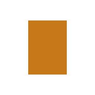  Dimensions Oversized Color Sample   Tiger Orange: Home 