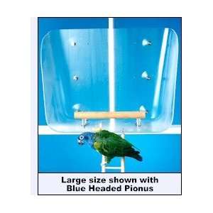  Wingdow Seat Bird Perch   Large: Pet Supplies