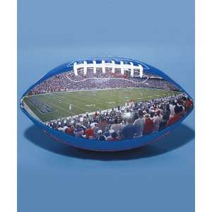  University of Florida Gators College Stadium Collectible Football 