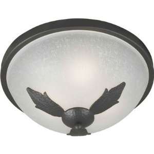  Forte 2544 02 11 Flush Mount, Natural Iron Finish with 