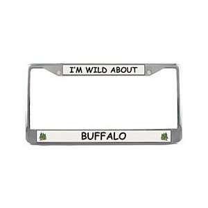  Buffalo License Plate Frame (Chrome): Patio, Lawn & Garden