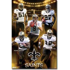  NFL New Orleans Saints 2011 Player Poster Sports 