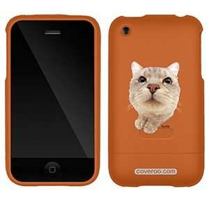 Scottish Fold on AT&T iPhone 3G/3GS Case by Coveroo