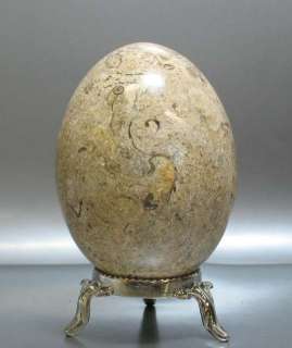 Fossil Stone Egg ~
