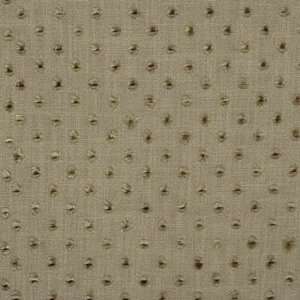    Dew Drop 106 by Kravet Couture Fabric Arts, Crafts & Sewing