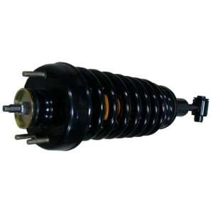 Raybestos 717 1321 Professional Grade Suspension Strut and Coil Spring 