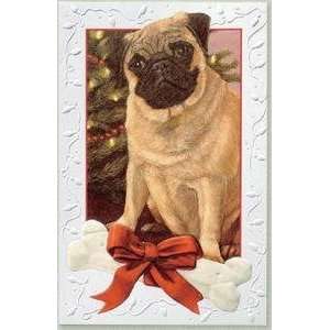  Pug Boxed Christmas Cards   16 Cards & 17 Envelopes 