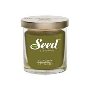  Seed Soy Candle, Evergreen, 4.5 oz