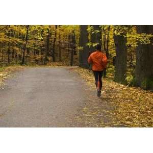 Autumn Running in the Forest   Peel and Stick Wall Decal by 