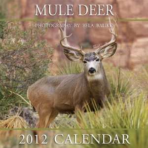  Mule Deer 2012 Wall Calendar: Office Products