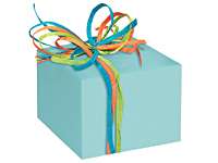 GLOSS AQUA gift wrap wrapping paper (24x417 roll)  