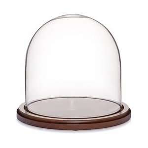  Glass Doll Dome with Walnut Base   8 x 8