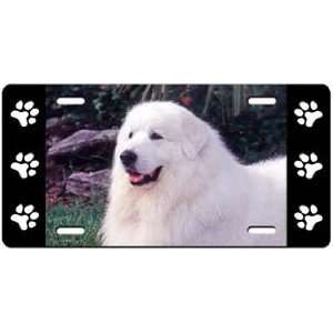  Great Pyrenees License Plate