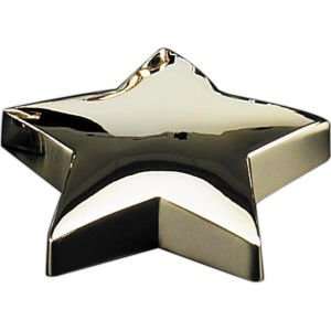    Star Paper Weight, Gold Plated, tarnish proof, D556