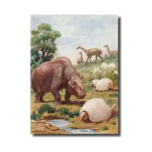 The Toxodon Glyptodon And Macrauchenias Lived In South America Giclee 