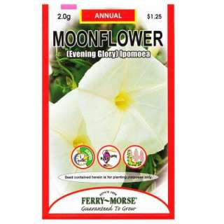 Ferry Morse Moonflower (Evening Glory) Seed 8043 at The Home Depot 