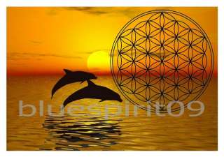 Energie Bild   Die Blume des Lebens   Delphine / Delfin 