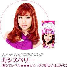 KAO Prettia Soft Bubble Hair Color Cassis Berry  