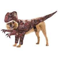 Animal Planet Raptor Dog Costume   Dog Costumes
