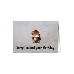  Bulldog Belated Birthday Wishes Card: Health & Personal 