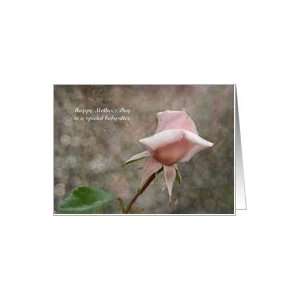  Mothers Day   Babysitter   Pink Rose Bud Card: Health 