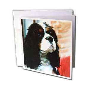  Charles Spaniel   Cavalier King Charles Spaniels   Greeting Cards 12 