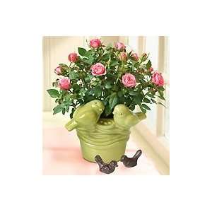   Day Gift Womens Day Gift   love Birds Pink Rose Patio, Lawn & Garden
