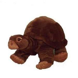  Cuddlekin Tortoise Steve Irwin Collection Toys & Games