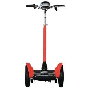   700w Segscooter Dual Scooter Motors Electric Scooter 