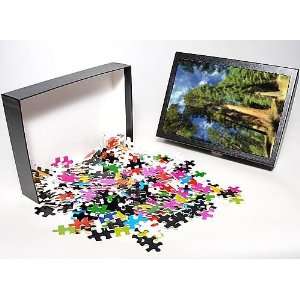   Jigsaw Puzzle of Giant sequoia trees from Robert Harding: Toys & Games