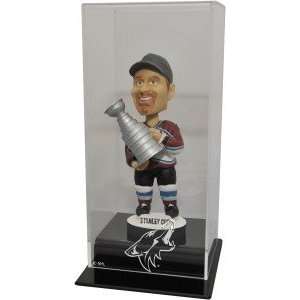  Phoenix Coyotes Hockey Bobblehead Display Case Sports 