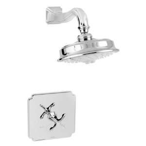   Shower Trim Only with Single Function Showerhead and Metal Cross