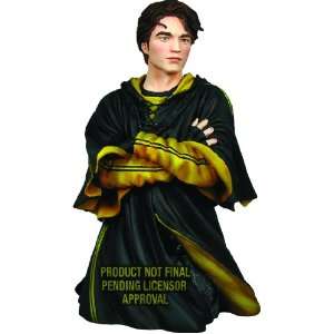  Harry Potter Cedric Diggory Mini Bust Toys & Games