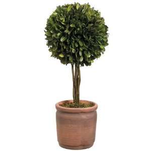  Faux 14.5 Preserved Boxwood Ball Topiary in Pot Green 