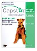 Capstar Flea Treatment for Dogs kills adult fleas in 30 minutes 