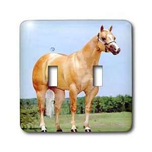 Horse   Palomino Quarter Horse   Light Switch Covers   double toggle 