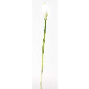  Calla Lily Silk Flower (12 Stems)   Cream